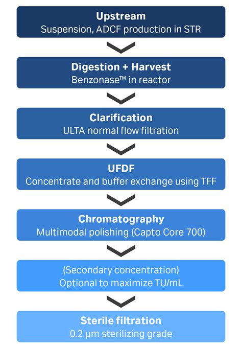 Scalable lentiviral vector clarification 